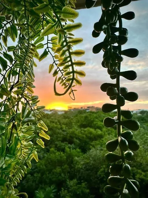 Rooftop Bliss, Steps From Playas Best Beach Playa del Carmen Mexiko